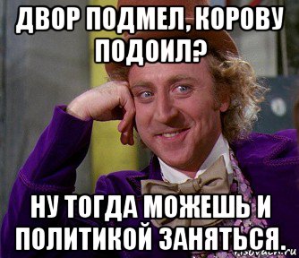 двор подмел, корову подоил? ну тогда можешь и политикой заняться., Мем мое лицо