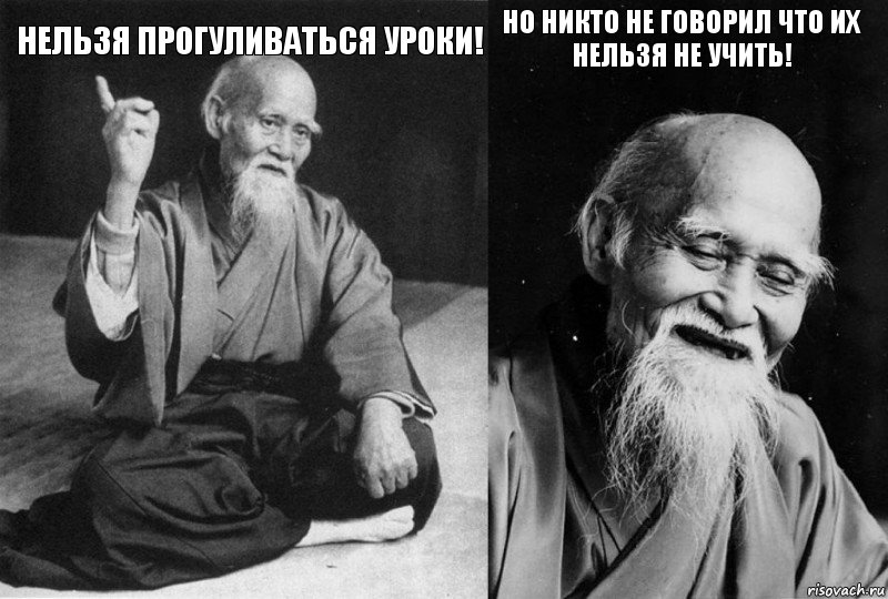 Нельзя прогуливаться уроки!  Но никто не говорил что их нельзя не учить! , Комикс Мудрец-монах (4 зоны)