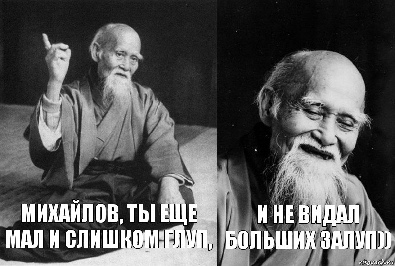 Михайлов, ты еще мал и слишком глуп, И не видал больших залуп)), Комикс Мудрец-монах (2 зоны)