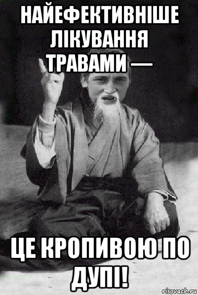 найефективніше лікування травами — це кропивою по дупі!, Мем Мудрий паца