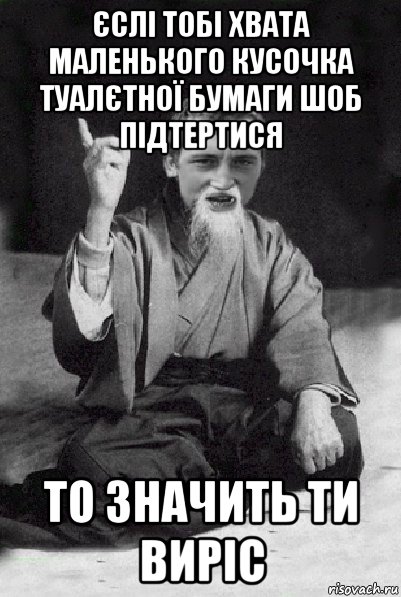 єслі тобі хвата маленького кусочка туалєтної бумаги шоб підтертися то значить ти виріс, Мем Мудрий паца