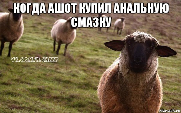 когда ашот купил анальную смазку , Мем  Наивная Овца