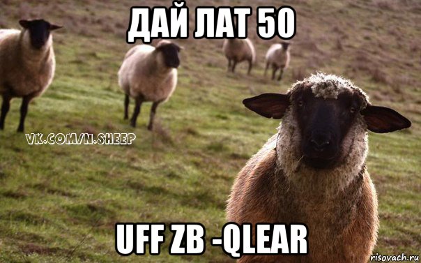 дай лат 50 uff zb -qlear, Мем  Наивная Овца