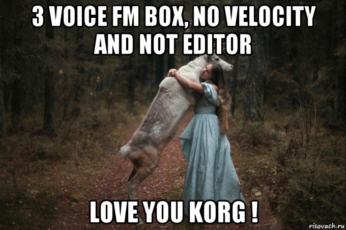 3 voice fm box, no velocity and not editor love you korg !, Мем Наивный Олень шаблон 5