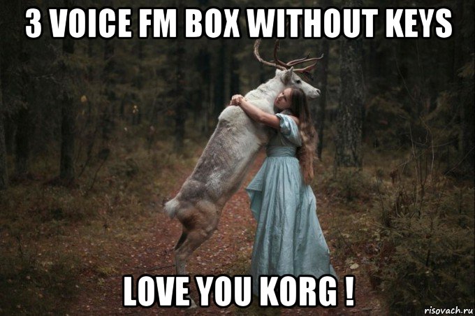 3 voice fm box without keys love you korg !, Мем Наивный Олень шаблон 5