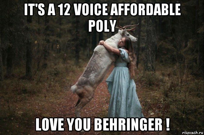 it's a 12 voice affordable poly love you behringer !, Мем Наивный Олень шаблон 5