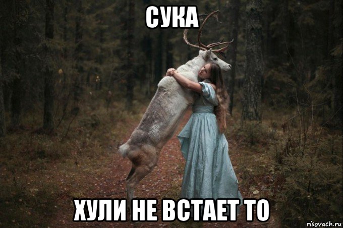 сука хули не встает то, Мем Наивный Олень шаблон 5