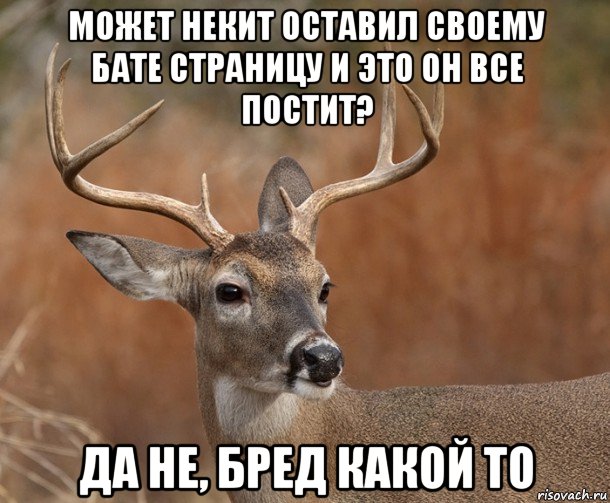 может некит оставил своему бате страницу и это он все постит? да не, бред какой то, Мем  Наивный Олень v2