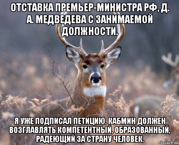 отставка премьер-министра рф, д. а. медведева с занимаемой должности. я уже подписал петицию. кабмин должен возглавлять компетентный, образованный, радеющий за страну человек., Мем   Наивный олень