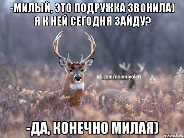 -милый, это подружка звонила) я к ней сегодня зайду? -да, конечно милая), Мем Наивный Олень vk