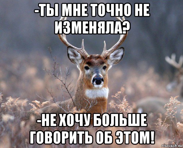 -ты мне точно не изменяла? -не хочу больше говорить об этом!, Мем   Наивный олень