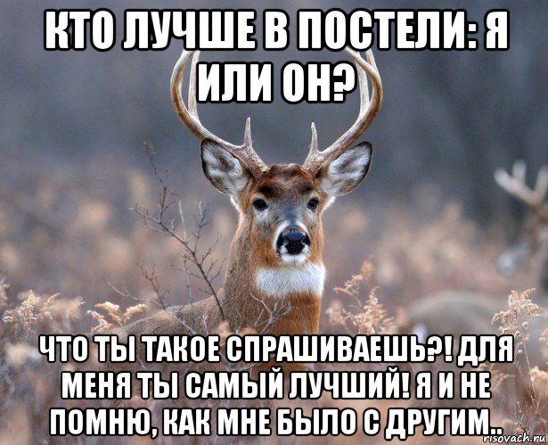 кто лучше в постели: я или он? что ты такое спрашиваешь?! для меня ты самый лучший! я и не помню, как мне было с другим.., Мем   Наивный олень