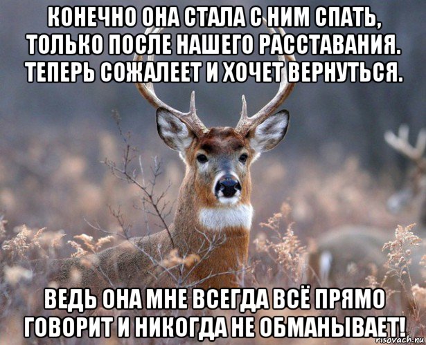 конечно она стала с ним спать, только после нашего расставания. теперь сожалеет и хочет вернуться. ведь она мне всегда всё прямо говорит и никогда не обманывает!, Мем   Наивный олень