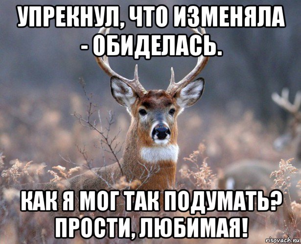 упрекнул, что изменяла - обиделась. как я мог так подумать? прости, любимая!, Мем   Наивный олень