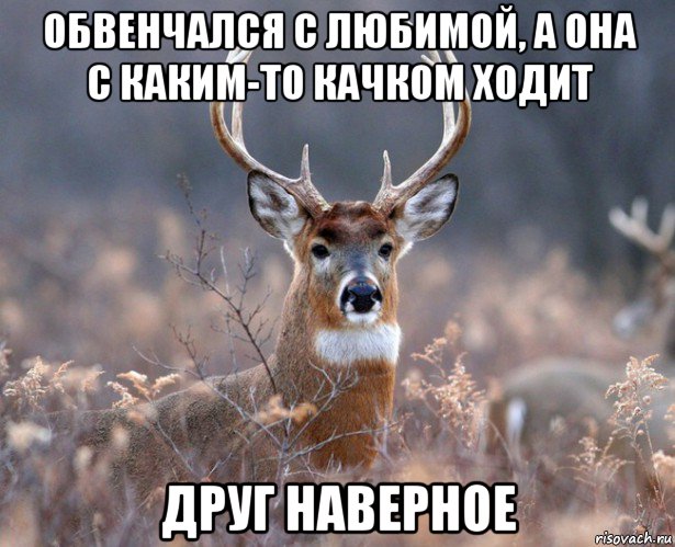 обвенчался с любимой, а она с каким-то качком ходит друг наверное, Мем   Наивный олень