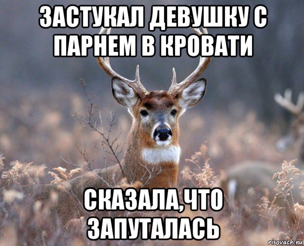 застукал девушку с парнем в кровати сказала,что запуталась, Мем   Наивный олень