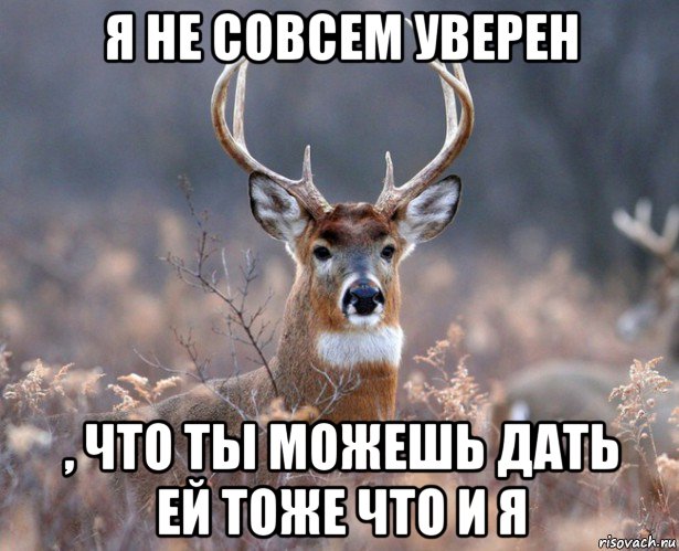 я не совсем уверен , что ты можешь дать ей тоже что и я, Мем   Наивный олень