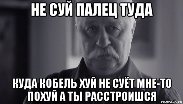 не суй палец туда куда кобель хуй не суёт мне-то похуй а ты расстроишся, Мем Не огорчай Леонида Аркадьевича