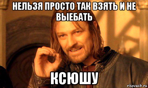 нельзя просто так взять и не выебать ксюшу, Мем Нельзя просто так взять и (Боромир мем)