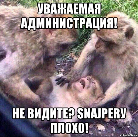 уважаемая администрация! не видите? snajperу плохо!, Мем Обезьяны