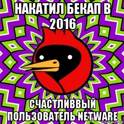 накатил бекап в 2016 счастливвый пользователь netware, Мем Омская птица