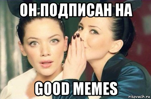 он подписан на good memes, Мем  Он