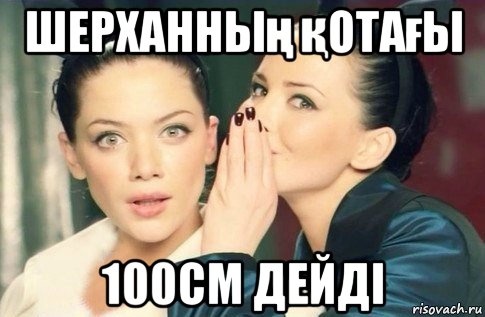 шерханның қотағы 100см дейді, Мем  Он