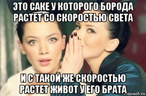 это саке у которого борода растет со скоростью света и с такой же скоростью растет живот у его брата, Мем  Он