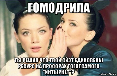 гомодрила ты решил что твой сйэт единсвены ресурс на просорах тоготсамого "интырнет"?, Мем  Он