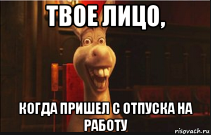 твое лицо, когда пришел с отпуска на работу, Мем Осел из Шрека