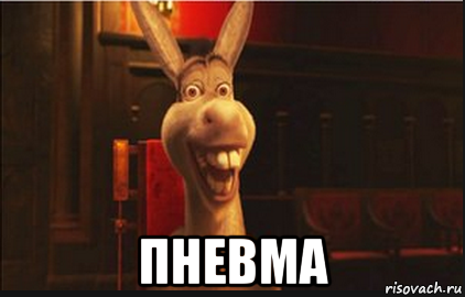  пневма, Мем Осел из Шрека