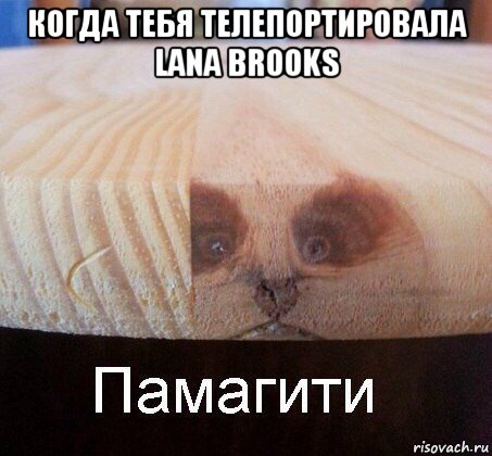 когда тебя телепортировала lana brooks 