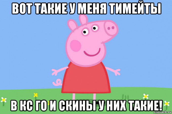 вот такие у меня тимейты в кс го и скины у них такие!, Мем Пеппа