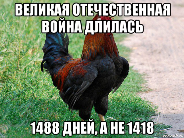 великая отечественная война длилась 1488 дней, а не 1418, Мем петух