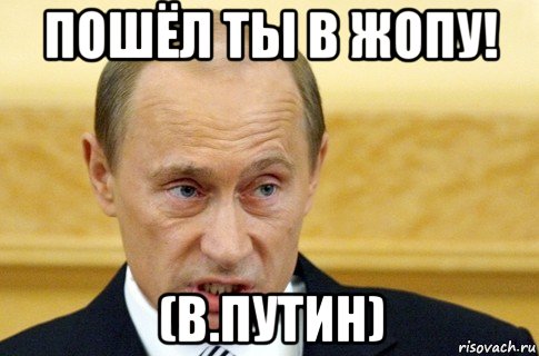 пошёл ты в жопу! (в.путин), Мем путин