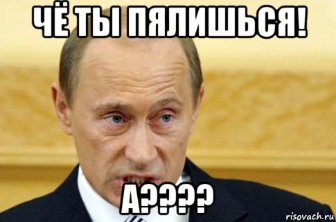 чё ты пялишься! а????, Мем путин