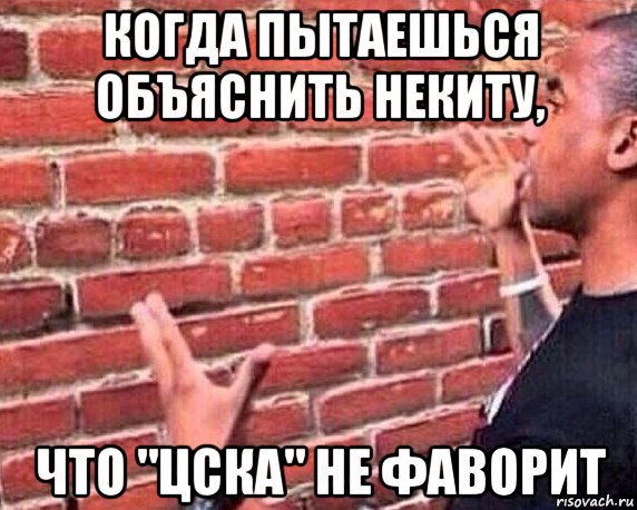 когда пытаешься объяснить некиту, что "цска" не фаворит, Мем разговор со стеной