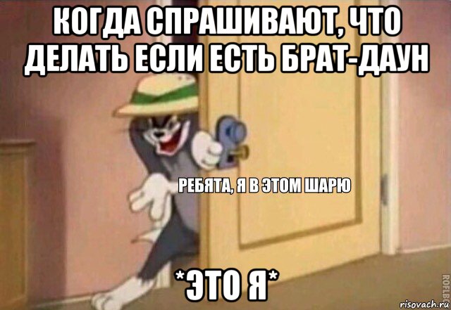 когда спрашивают, что делать если есть брат-даун *это я*, Мем    Ребята я в этом шарю