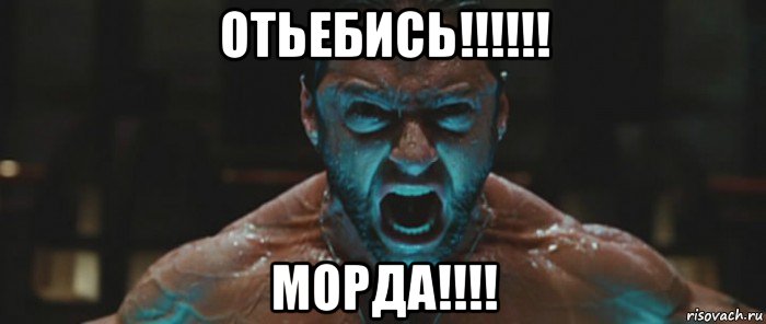 отьебись!!!!!! морда!!!!, Мем росомаха