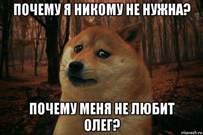 почему я никому не нужна? почему меня не любит олег?, Мем SAD DOGE