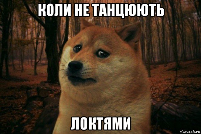 коли не танцюють локтями, Мем SAD DOGE