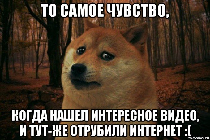 то самое чувство, когда нашел интересное видео, и тут-же отрубили интернет :(, Мем SAD DOGE