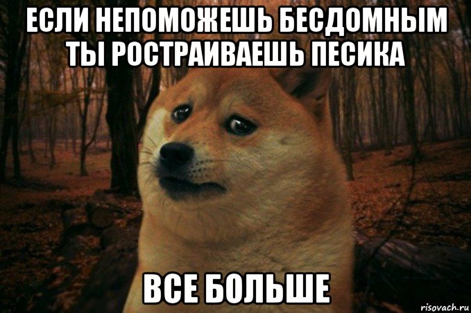 если непоможешь бесдомным ты ростраиваешь песика все больше, Мем SAD DOGE