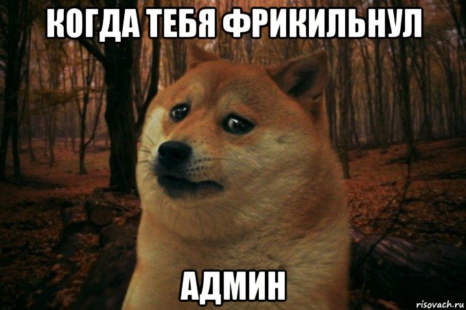 когда тебя фрикильнул админ, Мем SAD DOGE