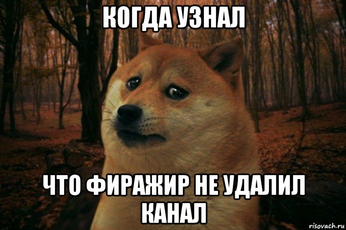 когда узнал что фиражир не удалил канал, Мем SAD DOGE