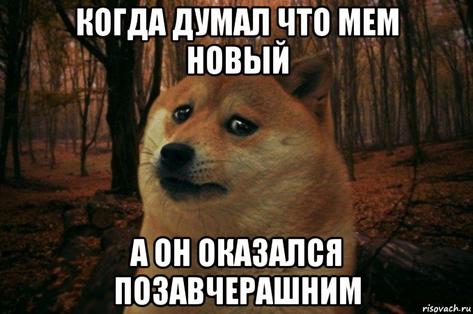 когда думал что мем новый а он оказался позавчерашним, Мем SAD DOGE