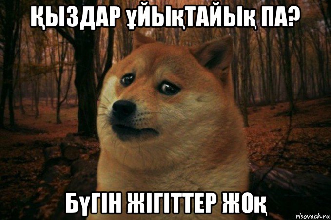 Қыздар ұйықтайық па? бүгін жігіттер жоқ, Мем SAD DOGE