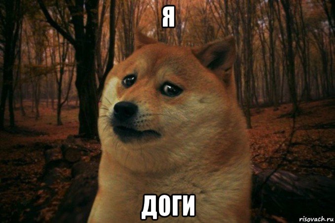 я доги, Мем SAD DOGE