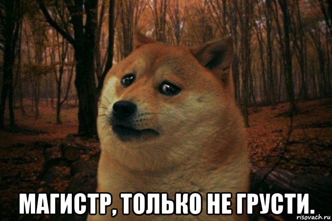  магистр, только не грусти., Мем SAD DOGE