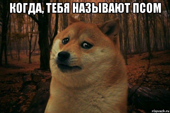 когда, тебя называют псом , Мем SAD DOGE